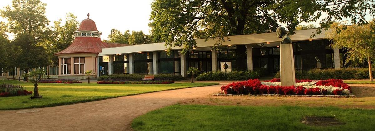 Apartma V Srdci Podebrad Poděbrady Extérieur photo
