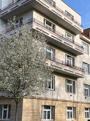 Apartma V Srdci Podebrad Poděbrady Extérieur photo